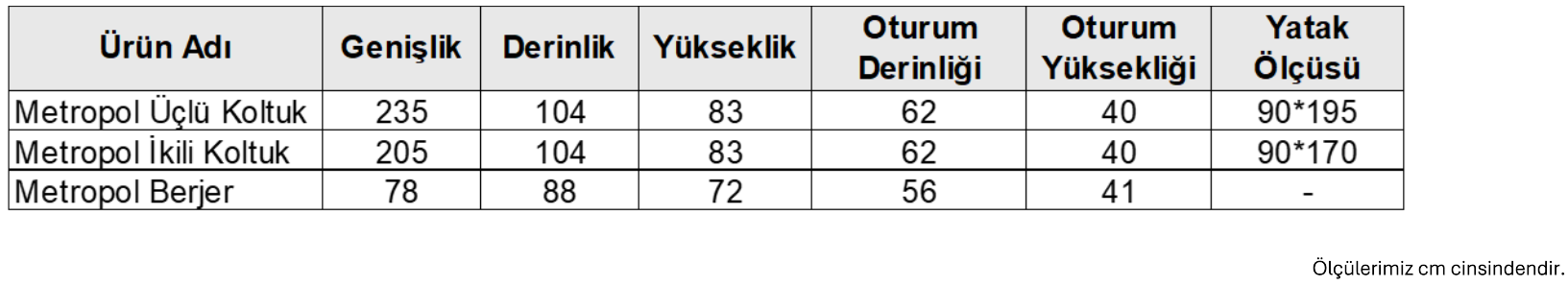 metropol koltuk.png (96 KB)