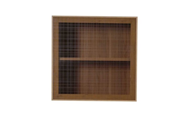 Frida TV Box Module - 